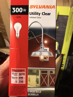 Light Bulb
