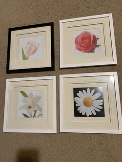 Pictures