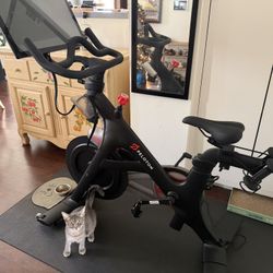 Peloton For Sale! 