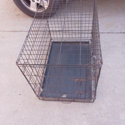 Dog 🐺 Crate Medium 