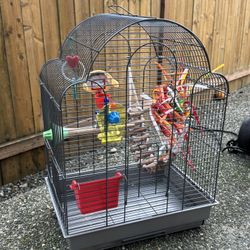Bird Cage With Toys