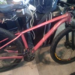 Specialized  Hard rock 