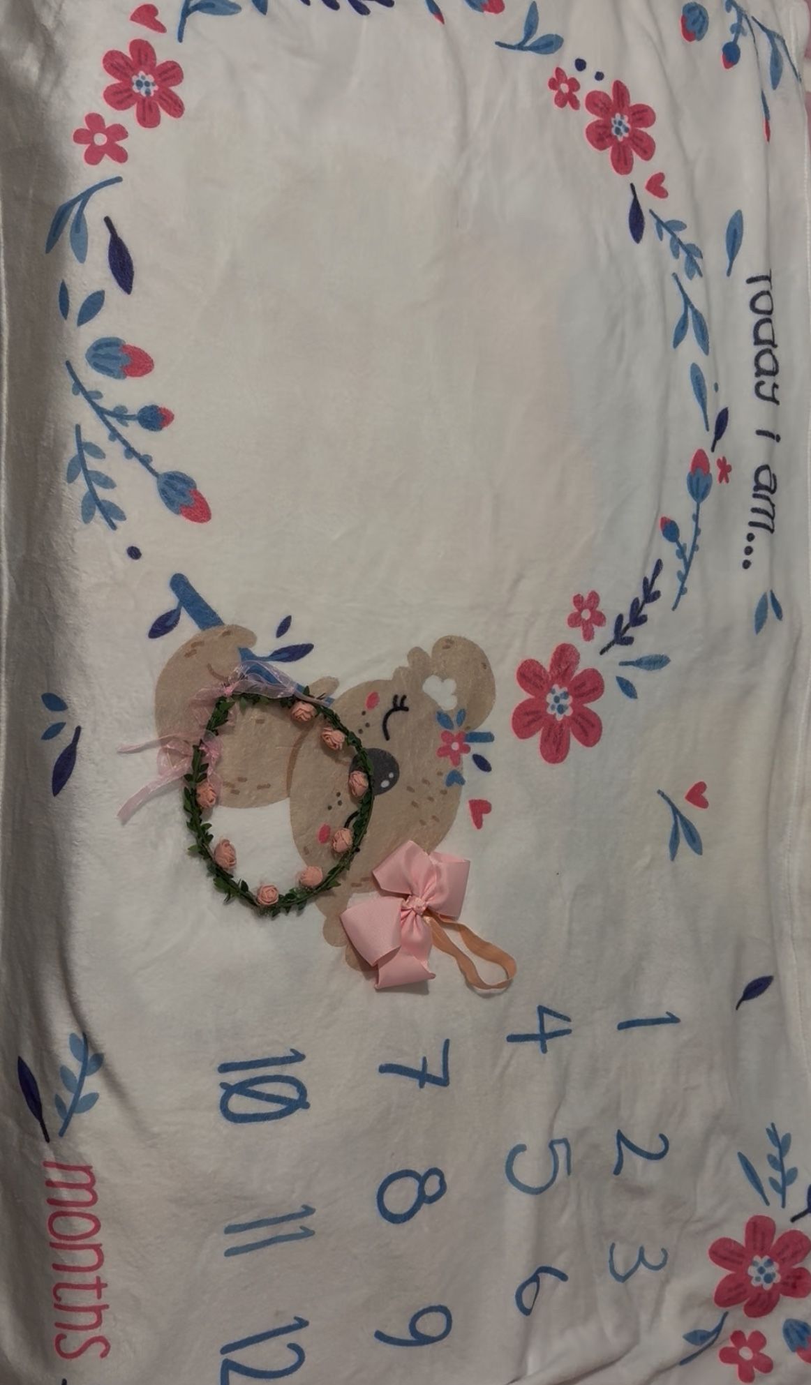 Baby Milestone Blanket