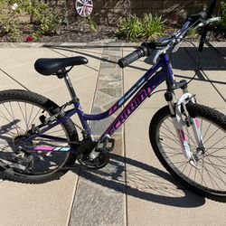 24” Girl Bike. $60