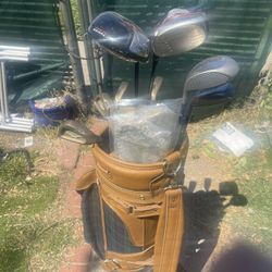 Callaway Big Bertha Gold Ladies Adult Right Handed Golf Clubs With Like New Cart Bag With Rain Cap 