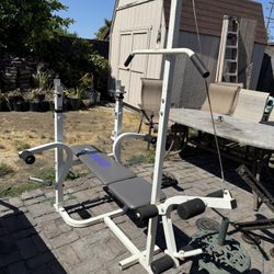 Weider Platinum Standard Weight Bench