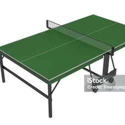 Ping Pong Table