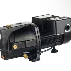 LEO 1/2 HP Dual Voltage Cast Iron Shallow Well Jet Pump