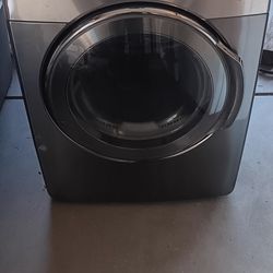 Electric Steam Dyrer 