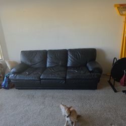 Leather Couch