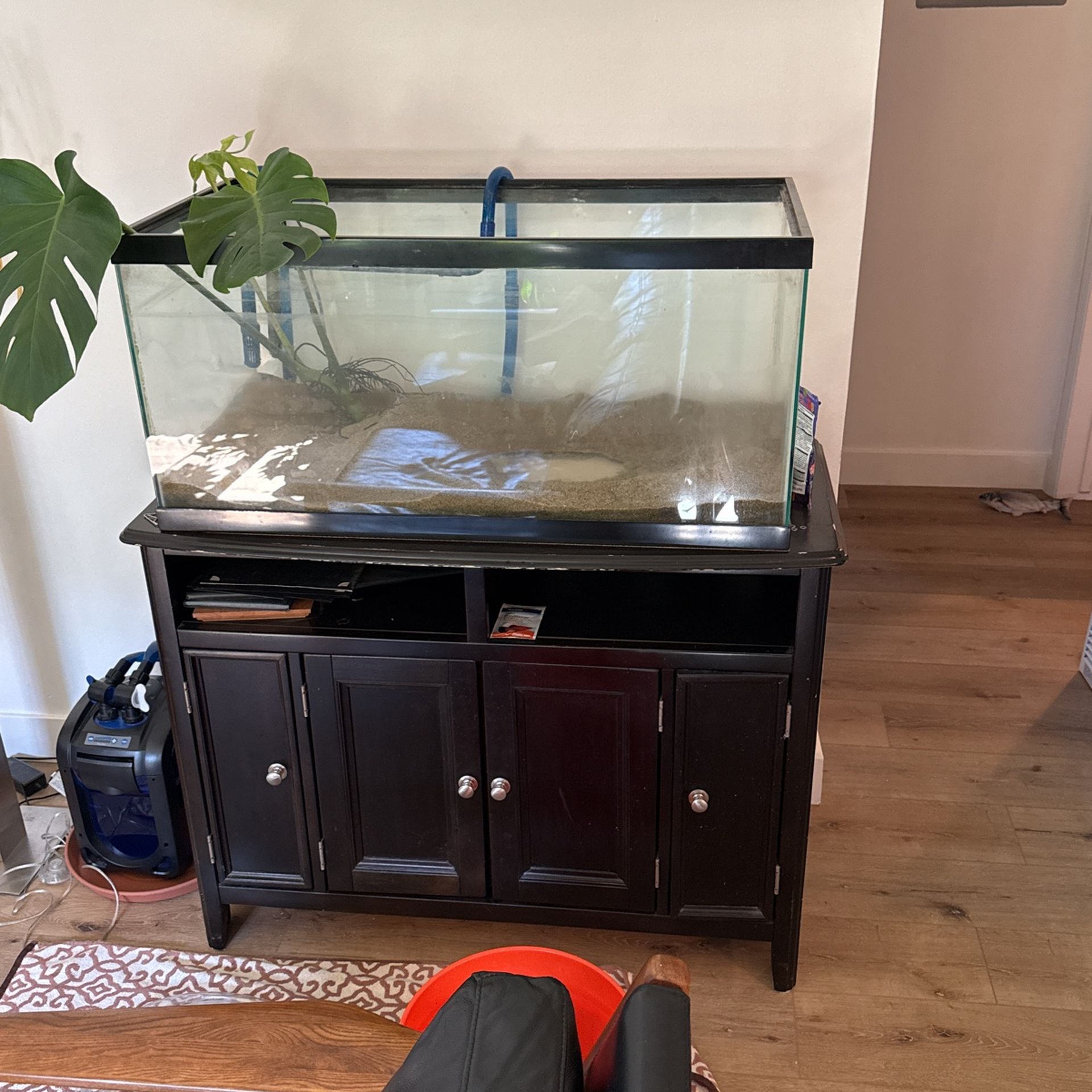 40 Gallon Breeder, Cabinet, And Filter