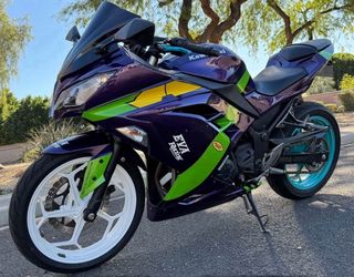 2016 Kawasaki Ninja 300 Sportbike