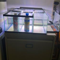 Fish Tank 7 And 2 Bottles Chemical 