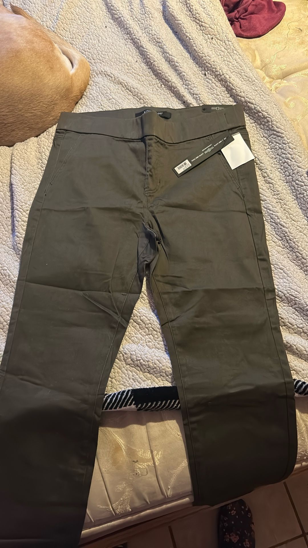 Beautiful Pant. NWT