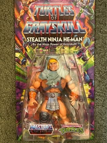 Stealth Ninja He Man MOTU Master of the Universe TMNT Crossover Action Figure New in Box