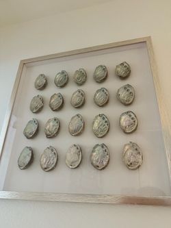 Seashell art decor