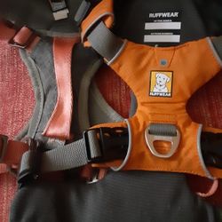 Small Harness For Small Medium Dogs 2 For $25.00 (Serious Buyers) Obo Cash Only 