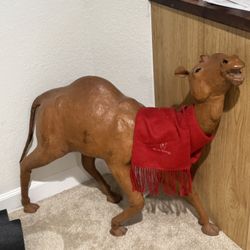 Baby Camel With Scarf; Life Size