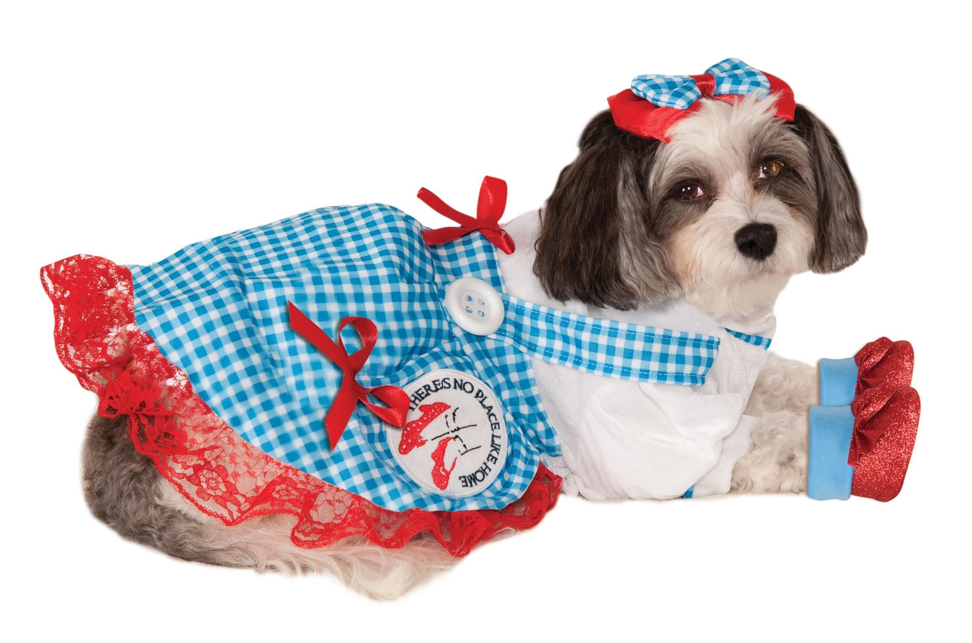 Dorothy Wizard of Oz/ Wicked Costume for Dog/Cat. Small/medium. 