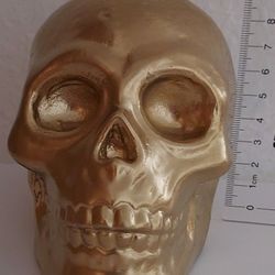 Plaster Skull