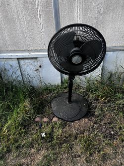 Fan