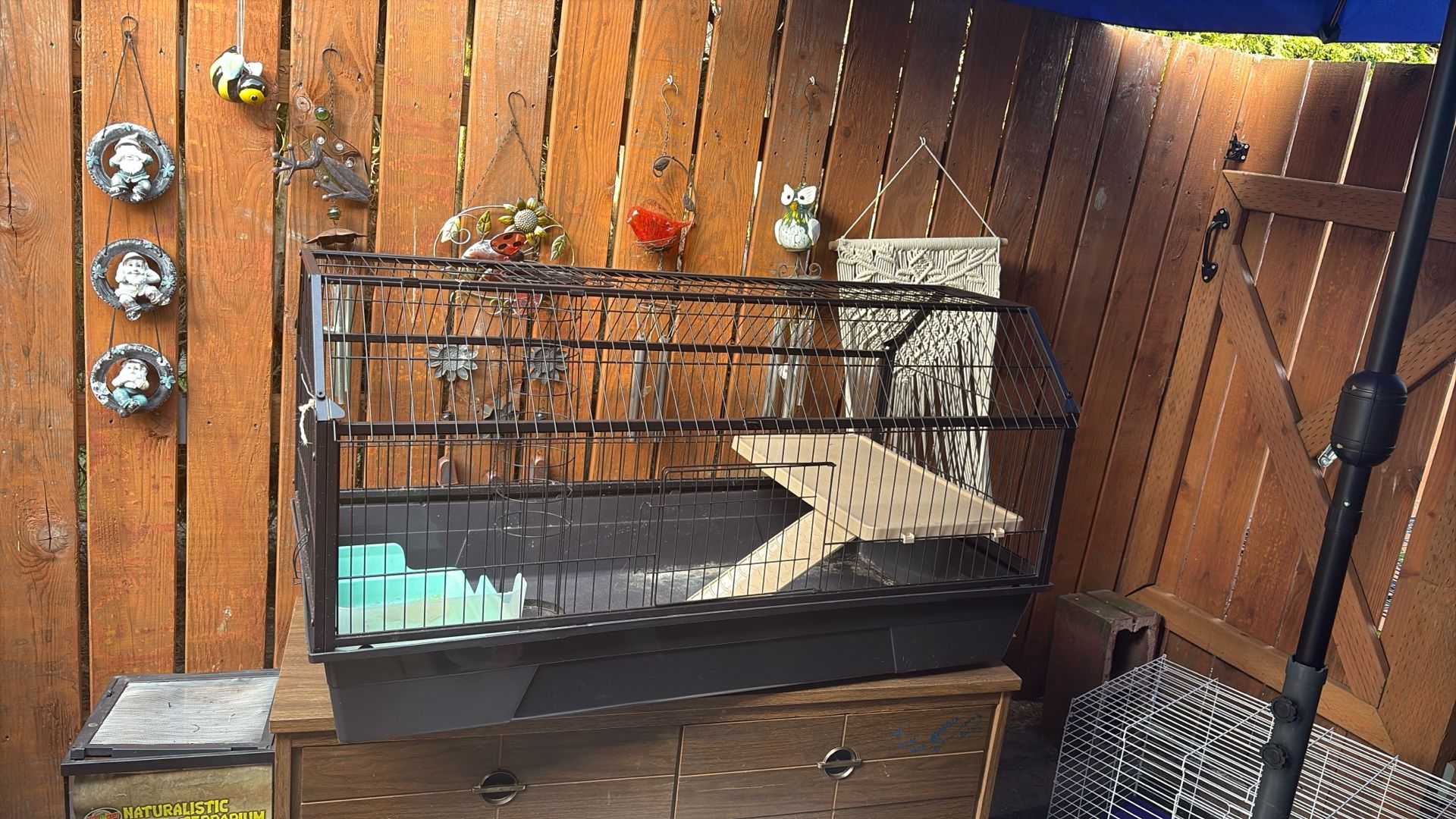Rabbit Or Critter Cage
