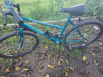 Roadmaster  Mountain Bike