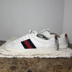 Gucci Sneakers 