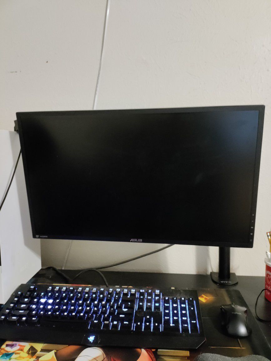 Asus 24in Monitor 144hz