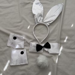 Bunny Costume Accessories