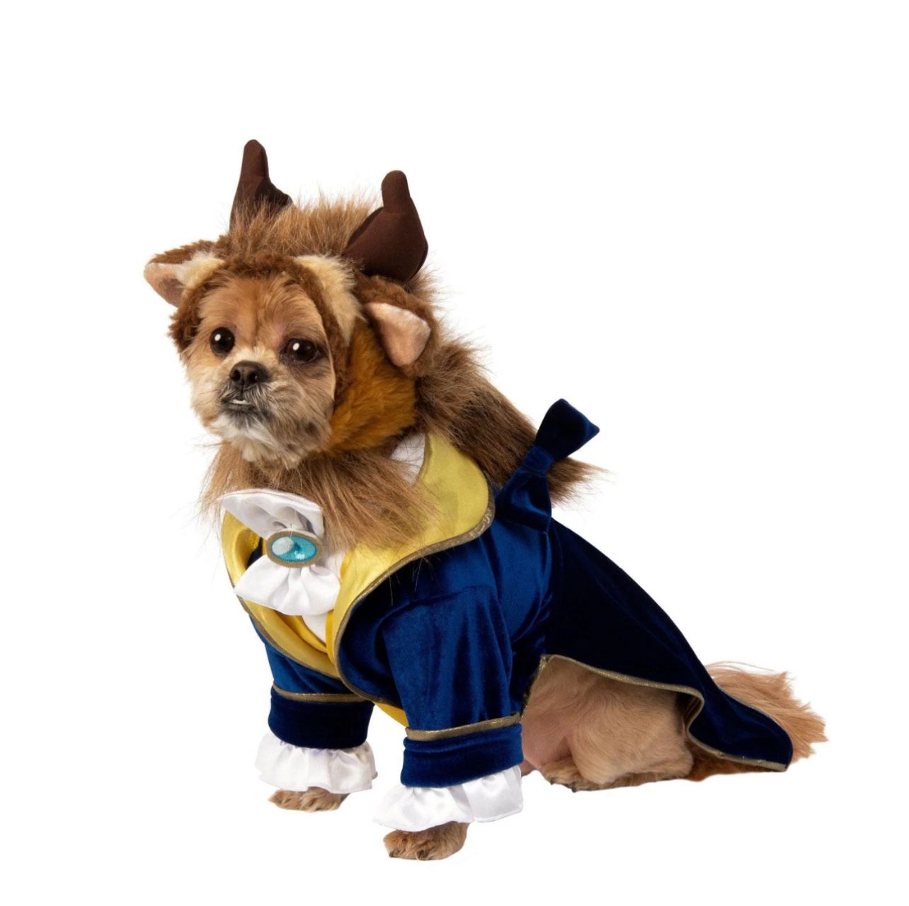 Dog Halloween Costume beauty and the beast