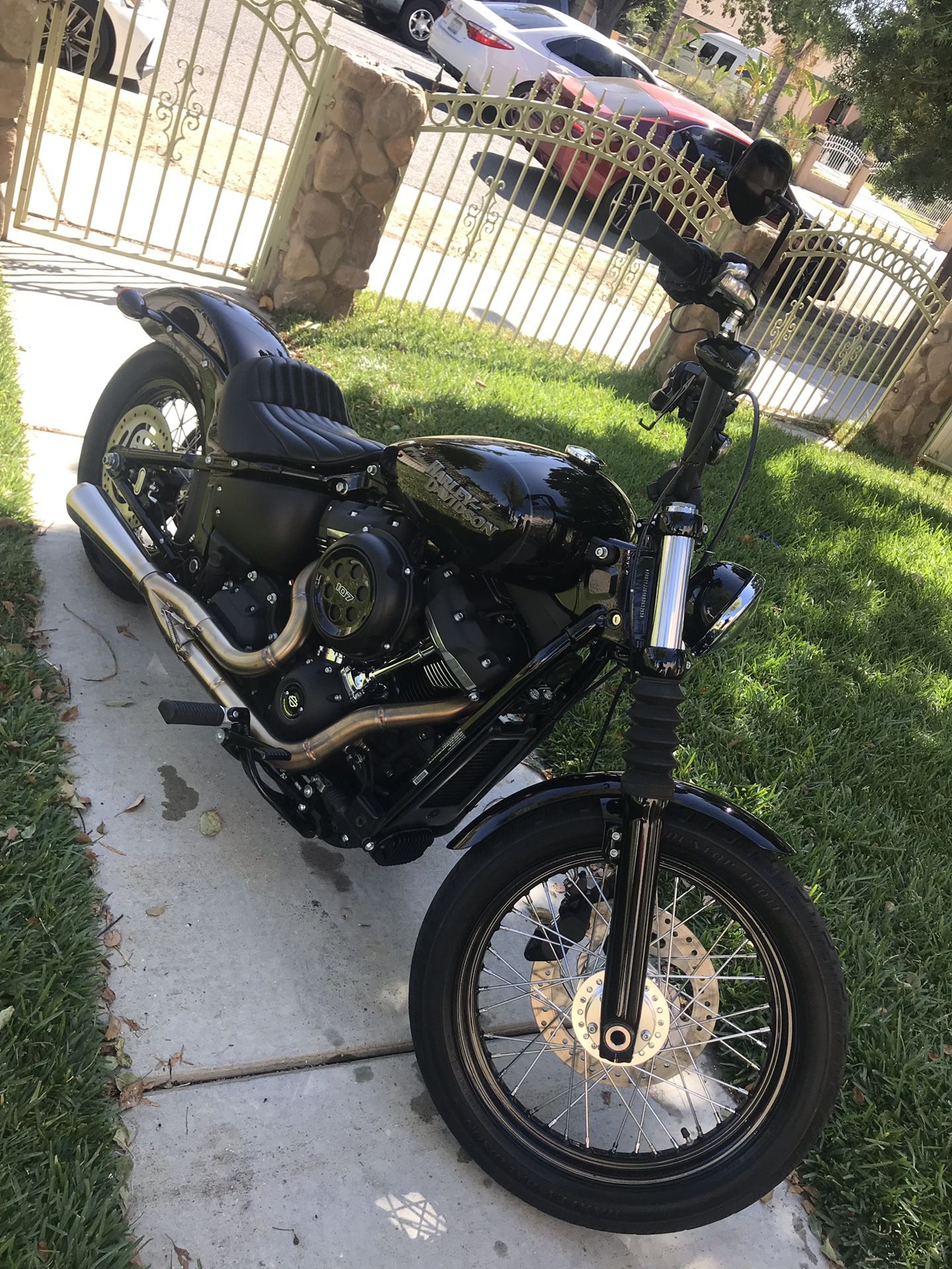 2019 Harley Davidson Softail Street Bob FXBB
