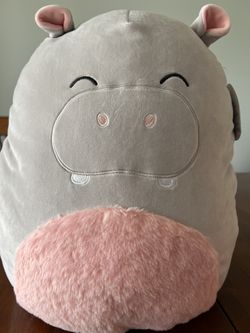 Harrison the Hippo Squishmallow 