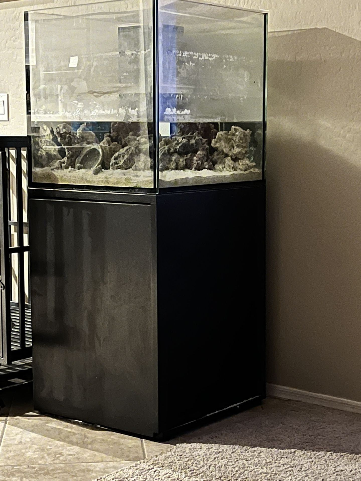 Salt Water Fish Tank
