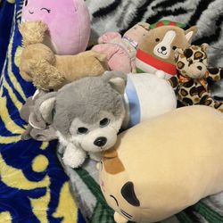 Stuffies 