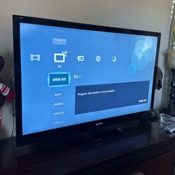 Sony Bravia 42 Inch TV