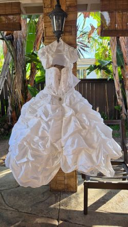 Quinceañera dress