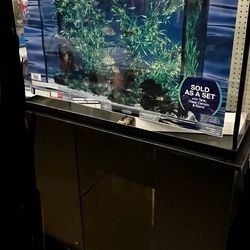 45 gallon fish tank and stand