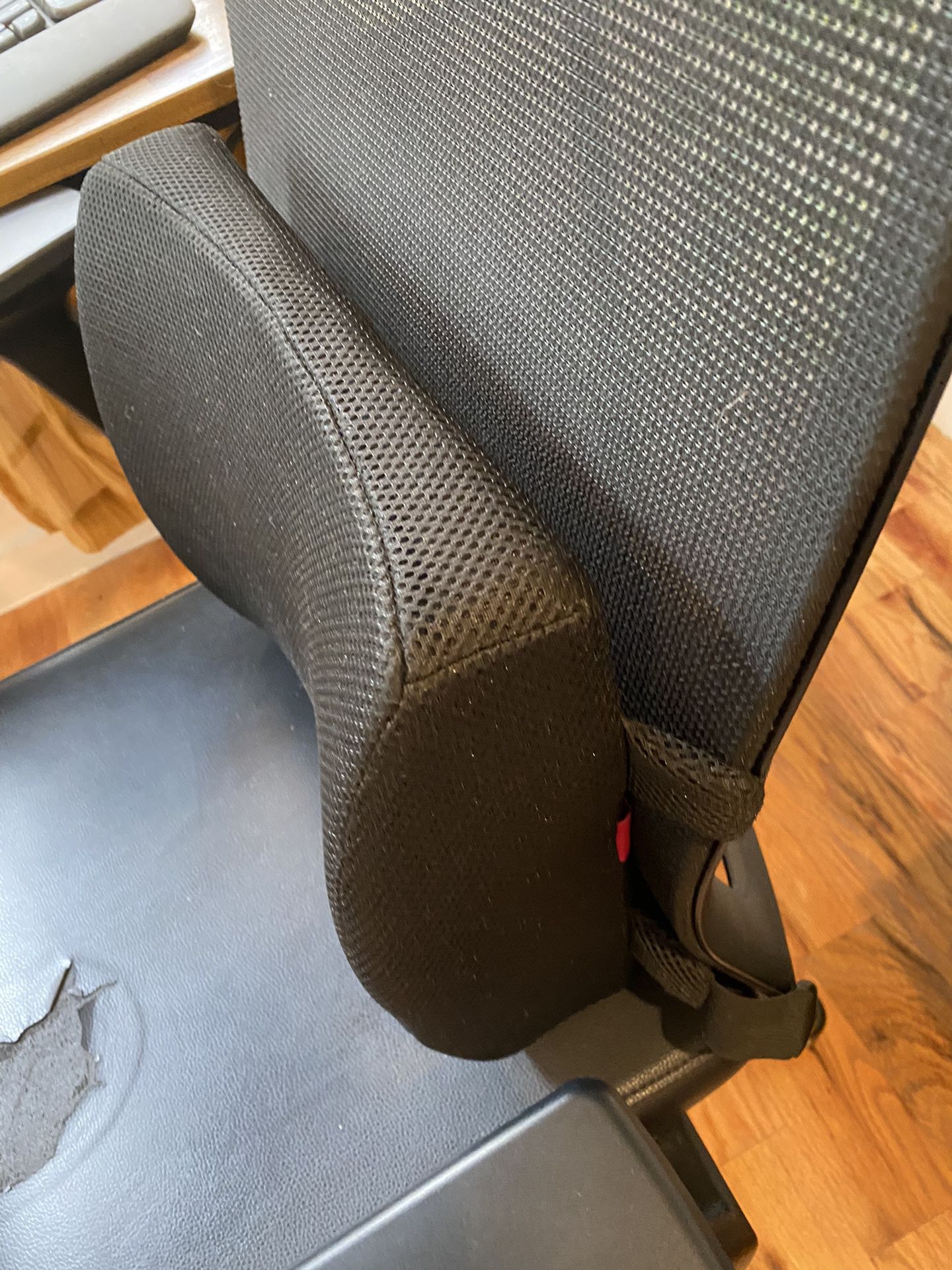 Lumbar Support Office Chair Pad 