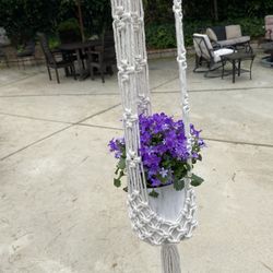 Beautiful Purple Flower In Marble Pot & Macrame Holder Yes This Is Real