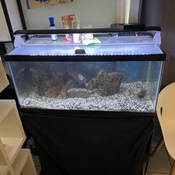 40 Gallon Aquarium With Stand 