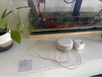 Echo Dot - Amazon Alexa