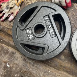2x 25lb Olympic Plate(read Description)