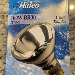 Halco Pool/Spa Lightbulb
