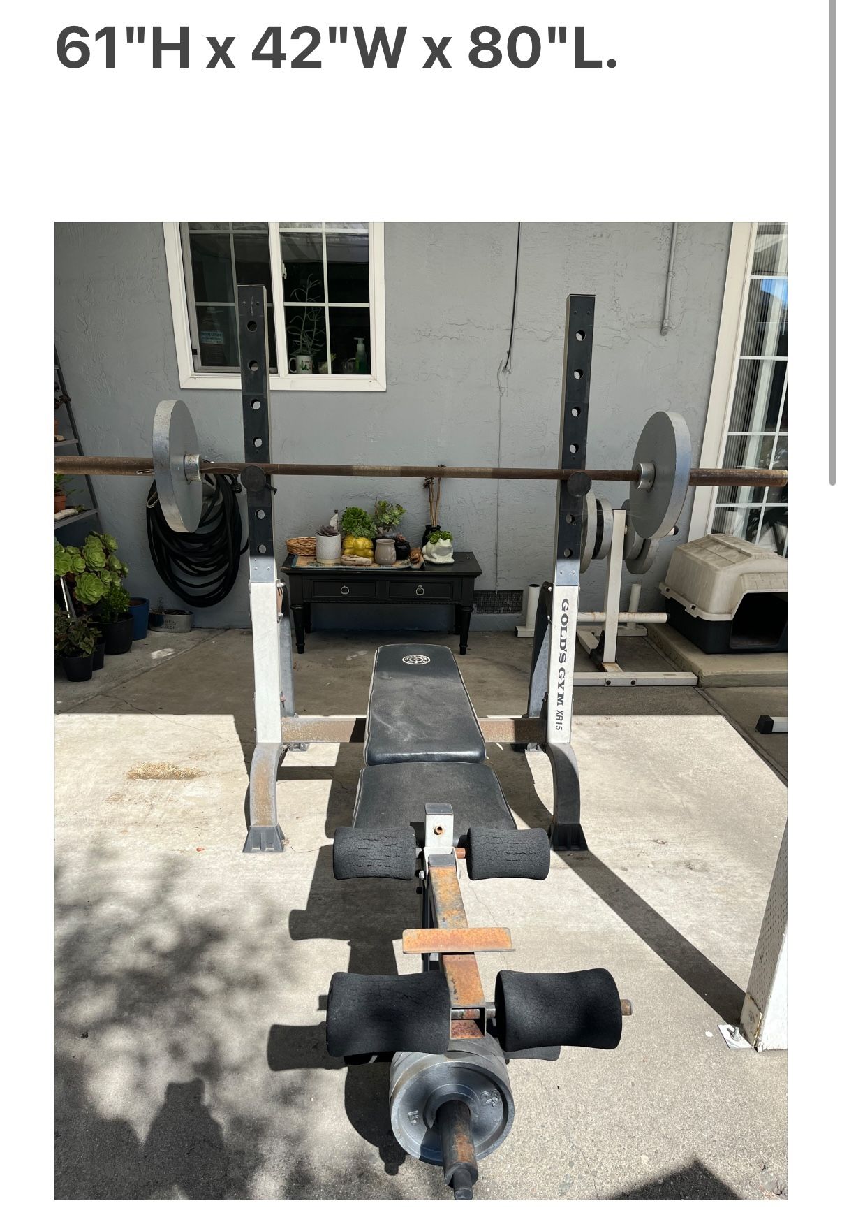 Gold's gym bench press