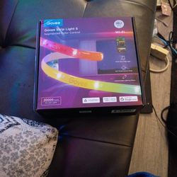 Govee Lights 