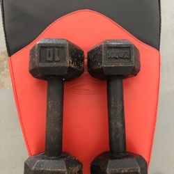 Two 10 Pound Weights