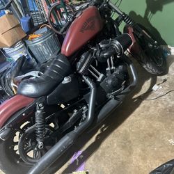 2017 883 Harley D