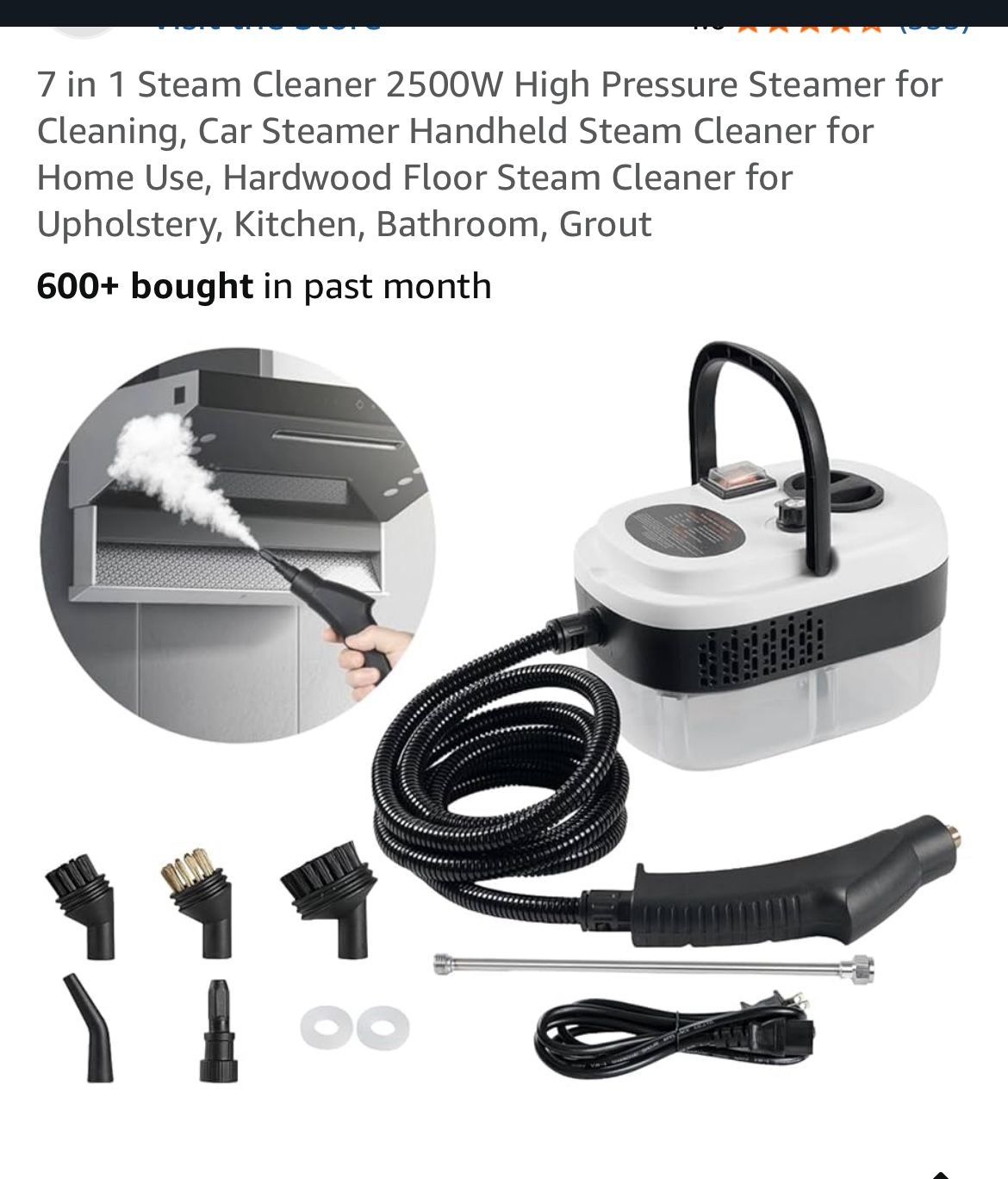 Steam Cleaner