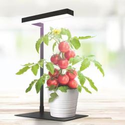 Vegetation Table Top Grow Light 